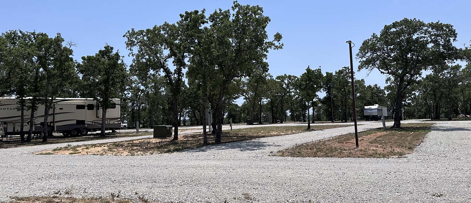 Pull-through RV sites at Hog Mountain RV Ranch under a stand of oak trees
